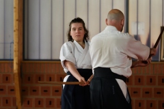 stage_DT_2026__04