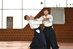 stage_DT_2026__24
