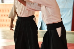 stage_DT_2026__39