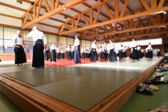 stage_DT_2026__45