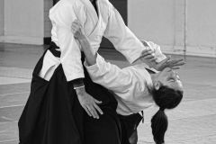 stage_prepadan_052025_001
