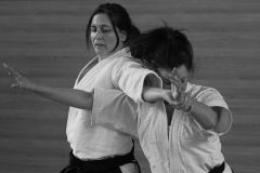 stage_prepadan_052025_006