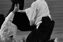 stage_prepadan_052025_022