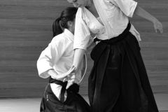 stage_prepadan_052025_035