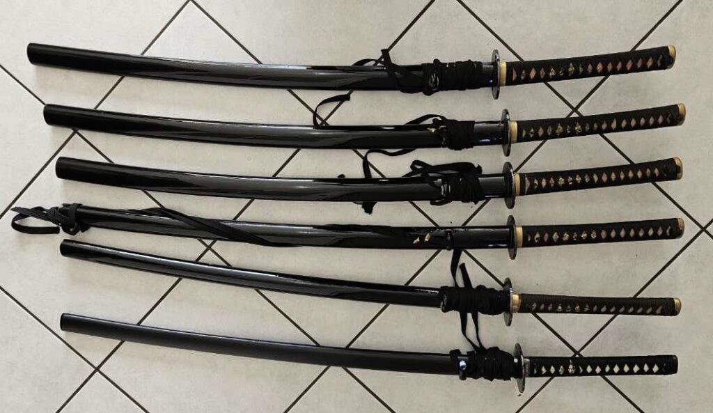 MISE A DISPOSITION D&rsquo;IAITOS POUR LES CLUBS