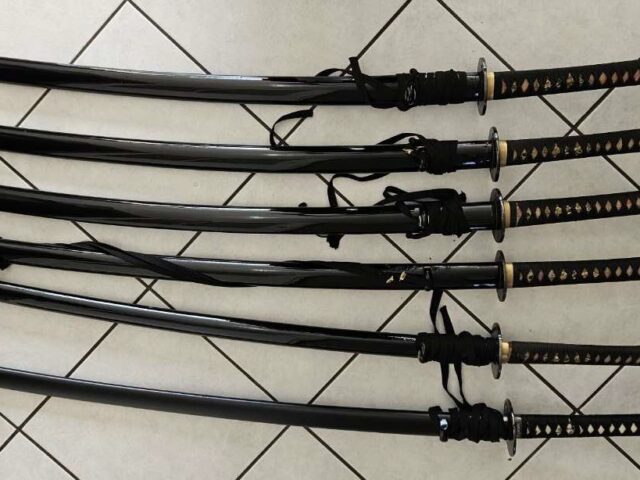 MISE A DISPOSITION D&rsquo;IAITOS POUR LES CLUBS